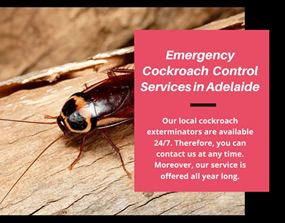 Project thumbnail - Best Cockroach Control Services in Adelaide