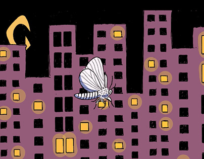 flying moth animation