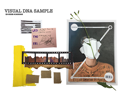 Visual Identity | Visual DNA Sample