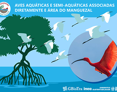 Projeto infográficos aves aquáticas