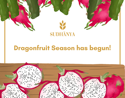 Sudhaanya's 2021 Dragon Fruit Season