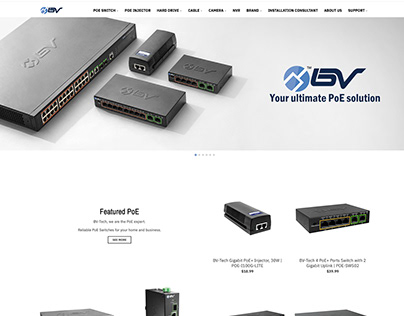 BV Security Website