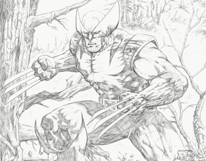 Wolverine in the Woods