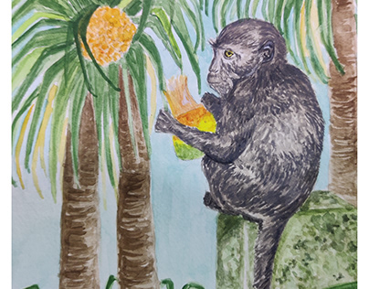 Nicobar Long-Tailed Macaque Feeding on Pandanus Fruit