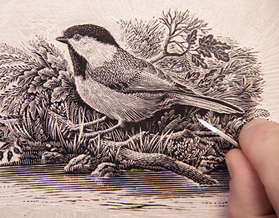 Wood Engraving of a Chickadee Printed on Handmade Paper