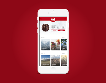 Daily UI #006 User profile -Pinterest Redesign