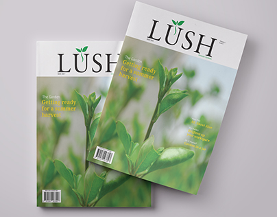 LUSH - Magazine Design