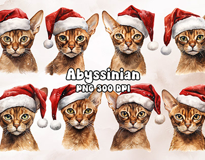 Abyssinian Cat Wearing a Santa Hat