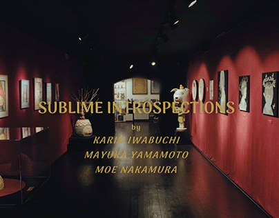 Dorothy Circus Gallery - Sublime Introspections