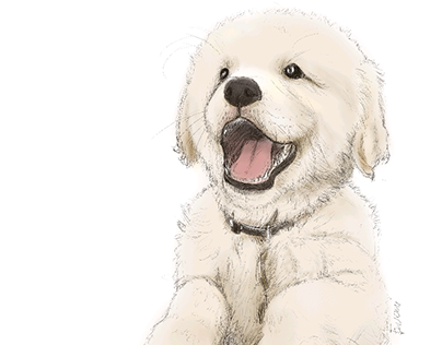 Pupper drawing