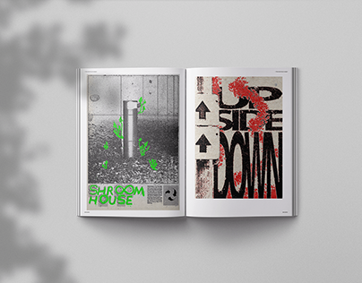 Grunge Posters: "ShroomHouse" and "UpSideDown"