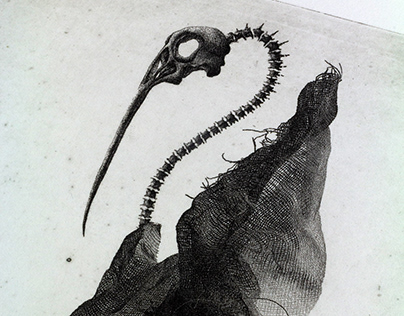 Photopolymer etching - Bird Skull I
