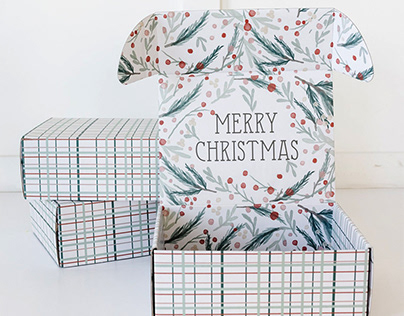 Custom Merry Christmas Packaging Box-FPG