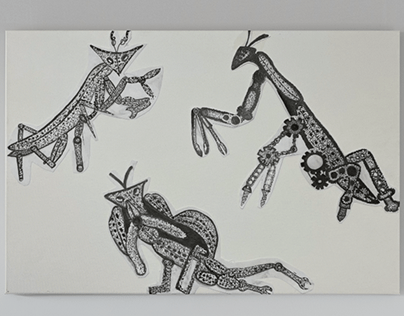 Mantis Study