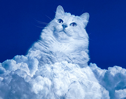Cumulus Cat