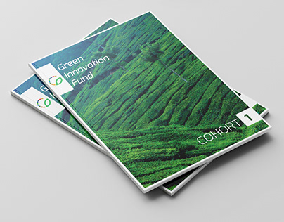 Collateral Designs for Green Innovation Fund