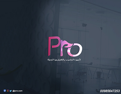 logo to computer comany 'Pro'