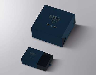 Jewelery - concept of packaging
