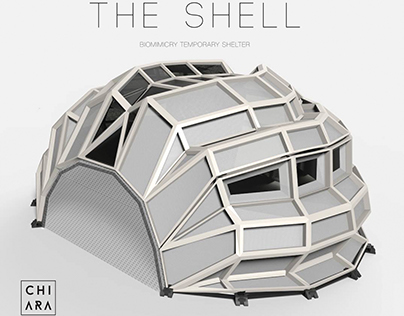 The Shell
