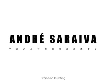 Concept Exhibition Curating - ANDRÉ SARAIVA