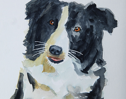 Project thumbnail - Watercolor dog portrait