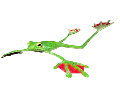 Gliding Frog