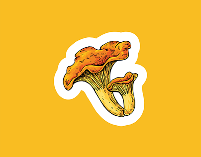 კალმახა სოკო - Oyster mushroom [NEW Logo]