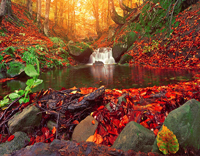 scenic autumn landscapes
