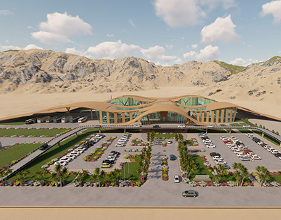 Transportation hub and domestic airport