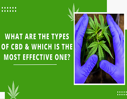 What Are The Types Of CBD?