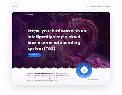 Octopi Co. Web Design & Development