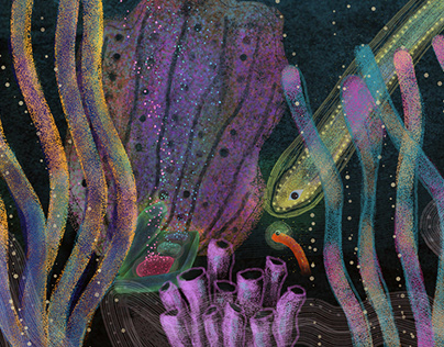 The discovery of a palette box / Undersea illustration