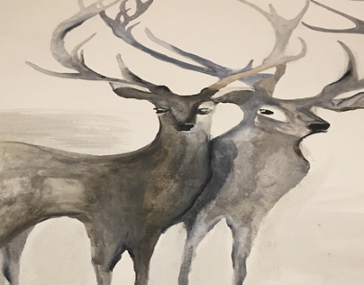 Deer watercolor