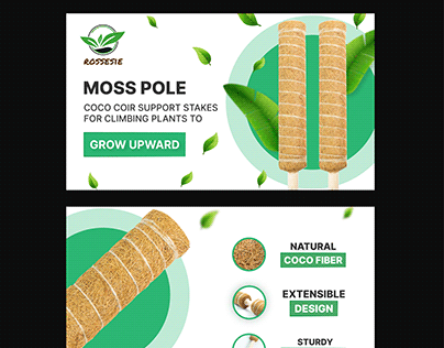 Project thumbnail - Moss Pole Amazon - EBC, Store Front, Listing Images