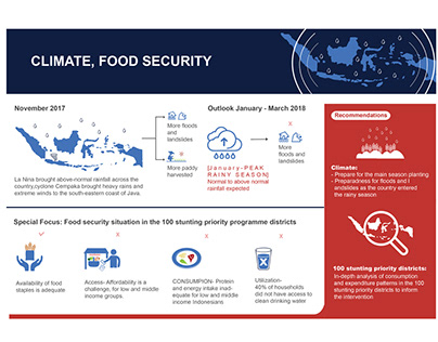 Infographic Annual Report UN WFP