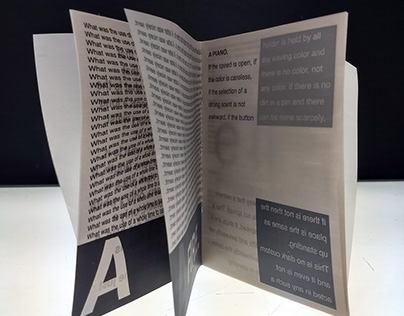 Transparent Vinyl Type Book -Poems From Tender Buttons