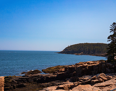 Acadia Cliffside I