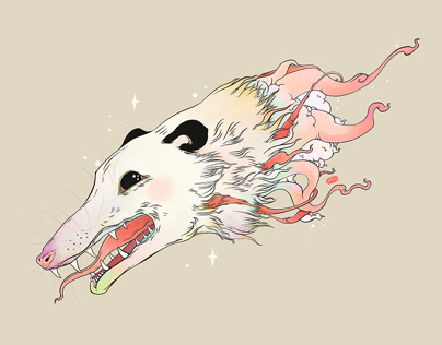 Opossum Art