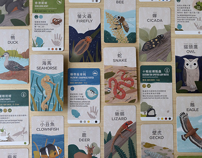 Hong Kong Wildlife Cards