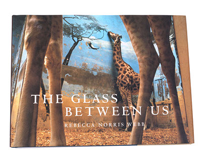 The Glass Between Us by Rebecca Norris Webb