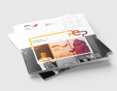 GIZ PEP Project General Brochure