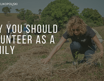 Why You Should Volunteer as a Family