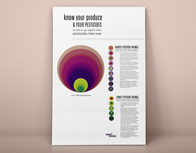 Graphic Design: Infographics + Layout