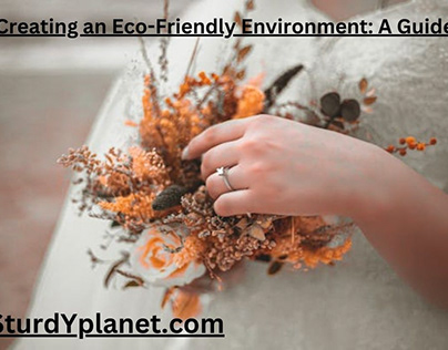 Creating an Eco-Friendly Environment: A Guide