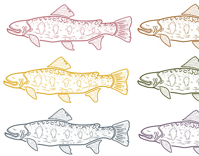Brook Trout Series