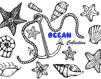Starfish, seashells and anchor. Sketch.Handdrawn.