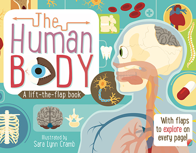 The Human Body illustrations