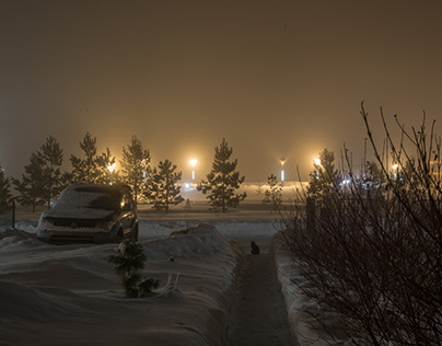 Siberian winter