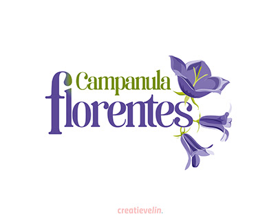 Campanula Florentes