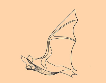 Bat one line art